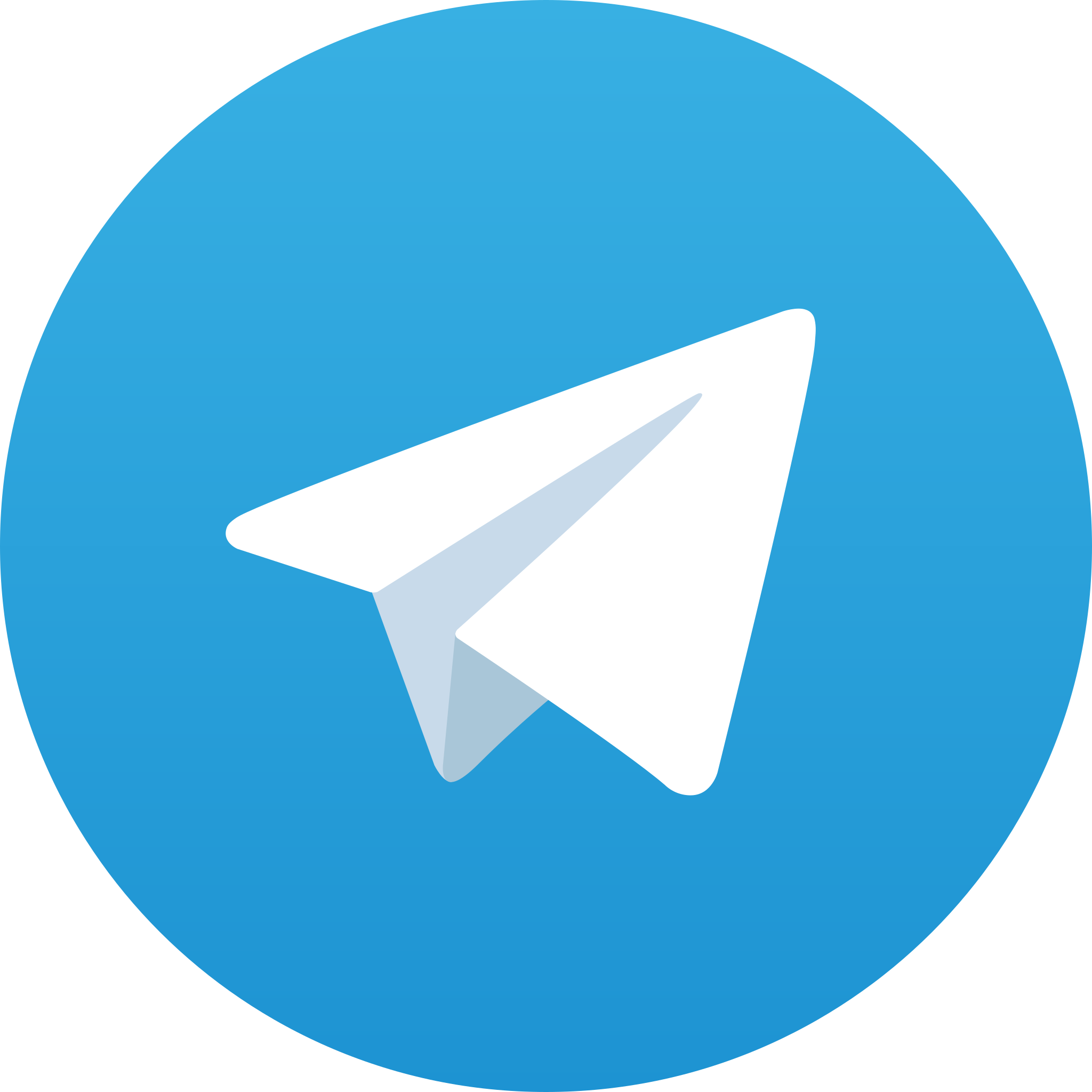 Написать нам в Telegram